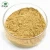 Import best selling products Natural siberian cocklebur fruit extract Glucoside 3% xanthium sibiricum extract from China