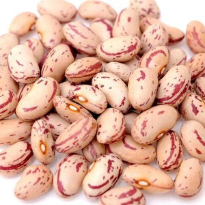 Borlotti rehydrated pulses beans - 24x400g