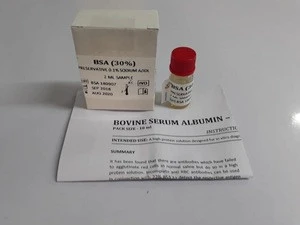 Bovine Albumin Serum