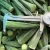 Bulk supply frozen fresh vegetables IQF Okra Whole with Favorable price