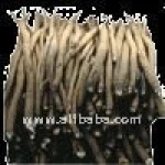 Burdock