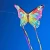 Import butterfly kite from China