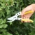 Import Bypass branch or flowers  pruner,  trim for branch secateur from China
