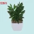 Import Cactus artificial artificial ornamental plants from China