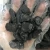 Import calcined anthracite coal with low price from China