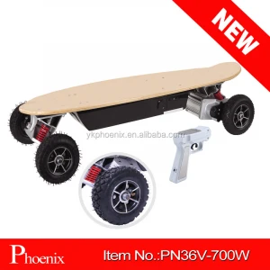 CE approved 700W Skate Board with brushless motor ( PN36V-700W )