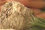 Celery