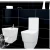 Import ceramic sanitary ware washdwon bathroom toilet bowl from China