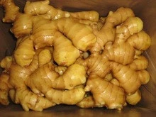Certified Organic Ginger/Fresh Non GMO Ginger/Air-Dried Ginger