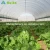Import China professional low cost agricultural greenhouse tunnel from China