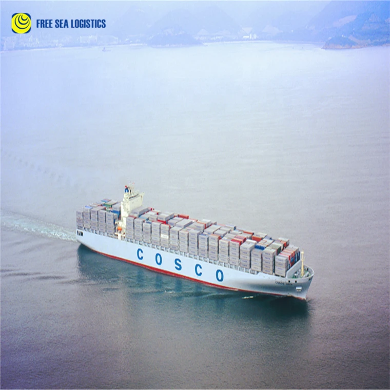 China To India Door To Door Sea Shipping Service Sea Freight Charges China To India