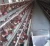 Import China wholesale kenya chicken farm hot sale layer poultry battery cages / chicken cages for sudan farms from China