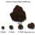 Import Chinese black truffle for sale Tuber melanosporum from China