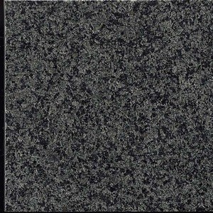 Chinese Cheap Best Price Xiamen Stone Black Galaxy Granite  for Sale