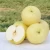 Import Chinese New Fresh Pear Organic Golden Pear from China