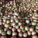 chinese pomelo fruit