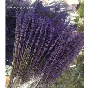 Class A preserved dried lavender flower wholesale from china