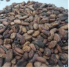 Cocoa Beans - Cacao Beans