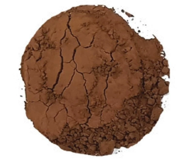 cocoa powder high quality 20 - 22%