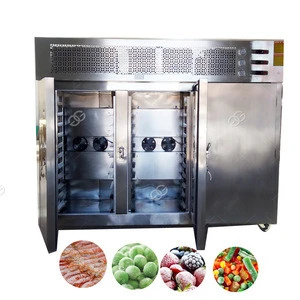 Commercial 20 Feet Small Deep Freezer Container Fish Meat Freezer