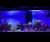 Import Coral Touch Control led aquarium light aquarium in lightings aquarium tank led lighting for aquariums from China