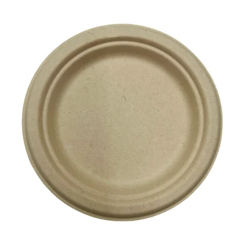 Custom Disposable Paper Plates Sugarcane Bagasse Tableware Food Container