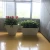 Import custom indoor fiberglass tapered flower plant square fiberglass flower pot vase tall street planters from China