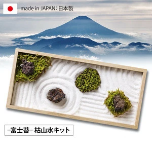 Customized boutique decoration background of freeze dried moss fujigoke L