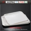 Customized luxury 100% melamine plastic tray for food service