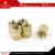 Import Customized Size Brass Insert Nut Brass Insert Molding Nuts Manufacturer from India from India