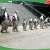 Import Customized stainless steel penguin sculpture /metal craft ,animal sculpture from China