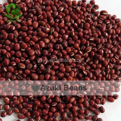 Dark Red Kidney Beans Long Shape Kidney Beans