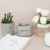 Decorative Desk Jute Flower Pot Plante