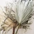 Decorative Flowers &amp; Wreaths Dried Flower dried palm leaves for wedding decoration gate flower