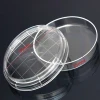 disposable clear plastic petri dish bacterial culture dish plate  65X15MM