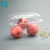 Import Disposable Plastic fruit Box Take-away Box Plastic Food Container from China