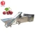 Import Dried fruit processing machine production line preserved dry fruit food chips dryer dried fruit machine manufacturers in india from China