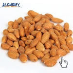 edible kernels apricot kernels