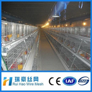 Egg Production Project Poultry Farming Equipment chicken cage