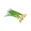 Egyptian Spring Onion Fresh Vegetable Scallion