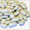 egyptian white kidney beans high quality