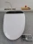 Import Electric Automatic Intelligent Heating  Water Temperature Control Bidet smart Toilet Seat Cover from China