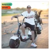 Electric Scooter 2000W Adult Electric Motorcycle Coco City Scooter Golf Bike