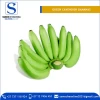 Export Quality Fresh Green Cavendish Bananas at Low Price