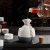 Factory Directly Porcelain Japanese Style Sake Set Ceramic Wine Set