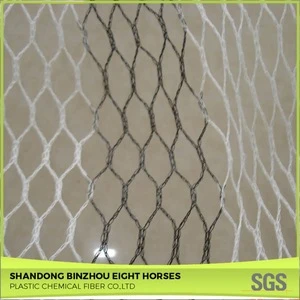 Factory HDPE Fishing net and Agriculture net