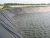 Import Factory Liner Price/geosynthetic geomembrane/Fish Farm Pond Liner Geomembrane from China