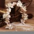 Import Fashion Bridal Tiaras and Natural shell Crowns Hair Pins Headwear Crown Decoration from China