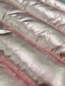 Fashion Design Silver Stamping Gold Stamping 50D Polyester Pongee Down Jacket Cotton Padded Clothing Fabric