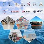 Fast air express shipping from shanghai China to DEL